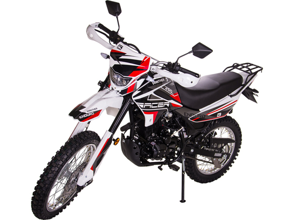Мотоцикл Racer RC250GY-C2 Panther (серый) (Россия)
