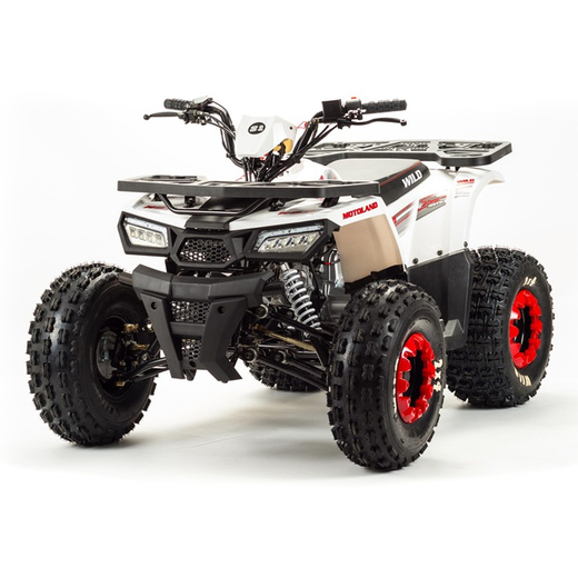 Квадроцикл Motoland 125 WILD BASIC белый