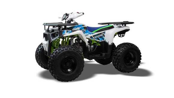 Квадроцикл TAO MOTOR SHARK 125 PRO