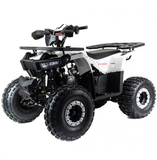 Квадроцикл Motoland VOX125 STORM