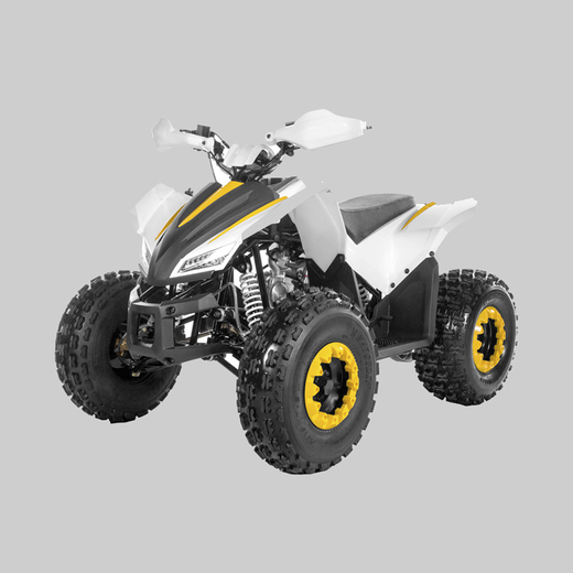 Квадроцикл TAO MOTOR COYOTE 125