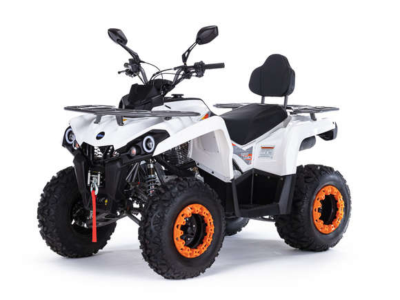 Квадроцикл MOTAX GRIZLIK 200 ULTRA черно-белый