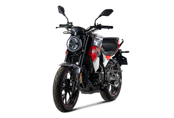 Мотоцикл TMBK MONTANA 250 (165 FMM) ЭПТС Grey Red