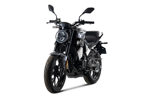 Мотоцикл TMBK MONTANA 250 (165 FMM) ЭПТС Grey Black