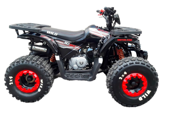 Квадроцикл Motoland VOX125 WILD A черный