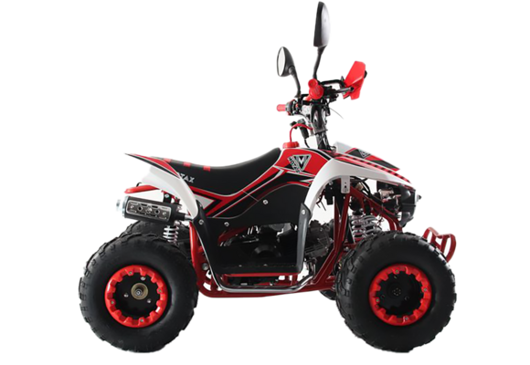 Квадроцикл бензиновый MOTAX MIKRO 110 NEW