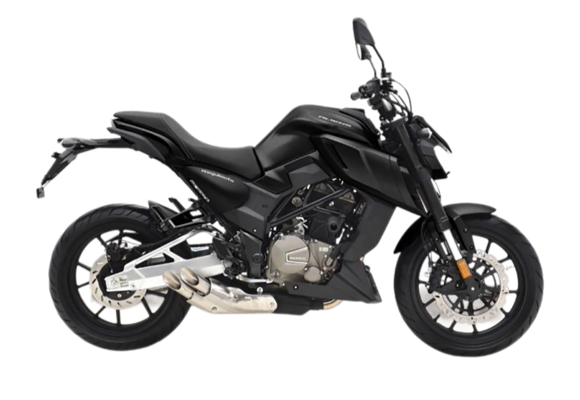 Мотоцикл Regulmoto ALIEN MONSTER 300 (Черный)