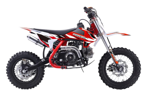 Питбайк Progasi KIDS POWER 110 (10/12) Красный