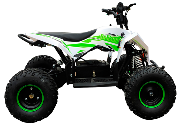 Детский электро квадроцикл MOTAX GEKKON 1300W