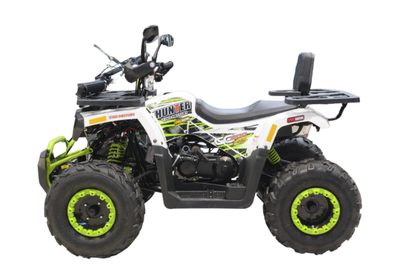 Квадроцикл TAO MOTOR BRAVES 200 (HUNTER200)